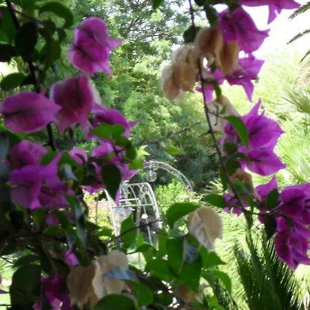 Romantik Pensión 4*