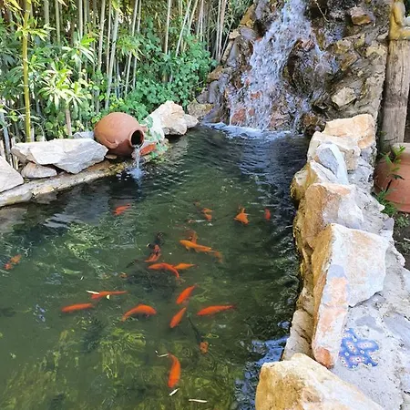 Romantik 招待所 达拉曼