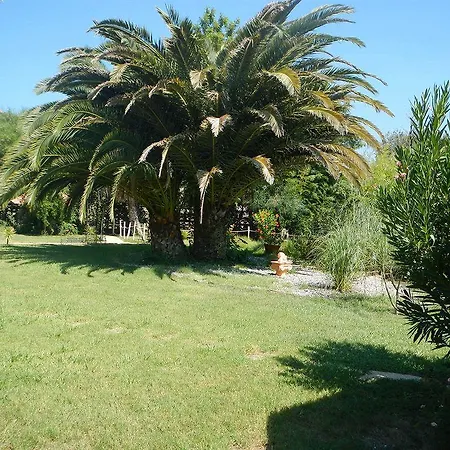 Romantik 招待所 达拉曼