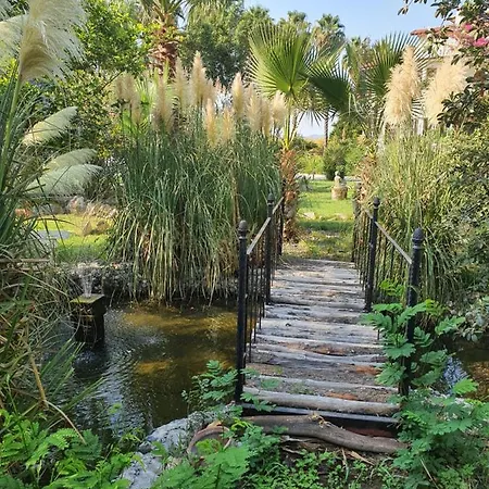 Romantik Guest house